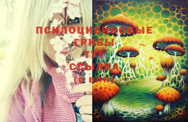 MESCALINE Беломорск